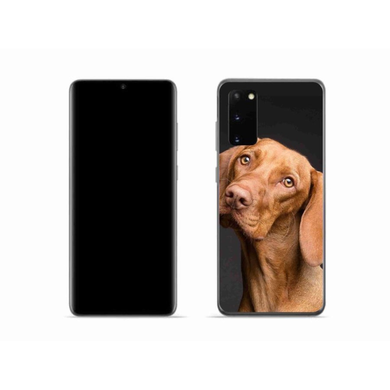 Gelový obal mmCase na mobil Samsung Galaxy S20 - maďarský ohař