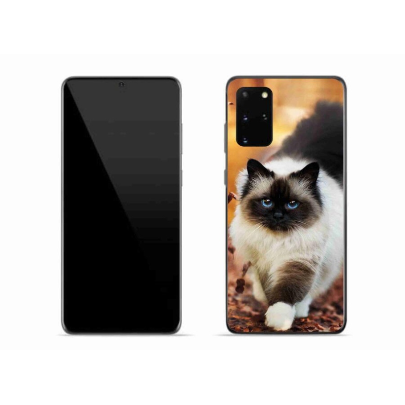 Gelový obal mmCase na mobil Samsung Galaxy S20 Plus - kočka 1