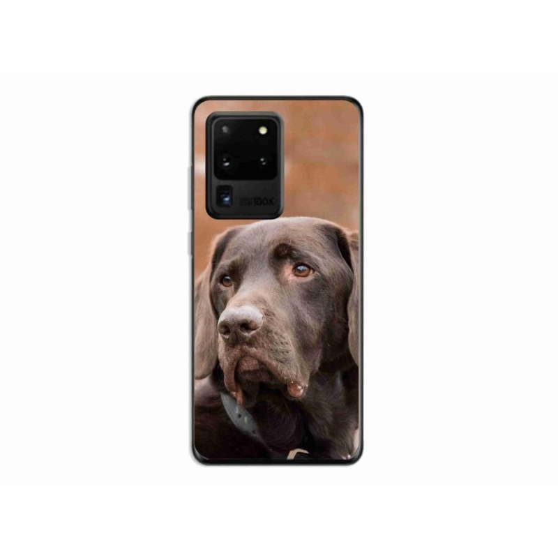Gelový obal mmCase na mobil Samsung Galaxy S20 Ultra - hnědý labrador