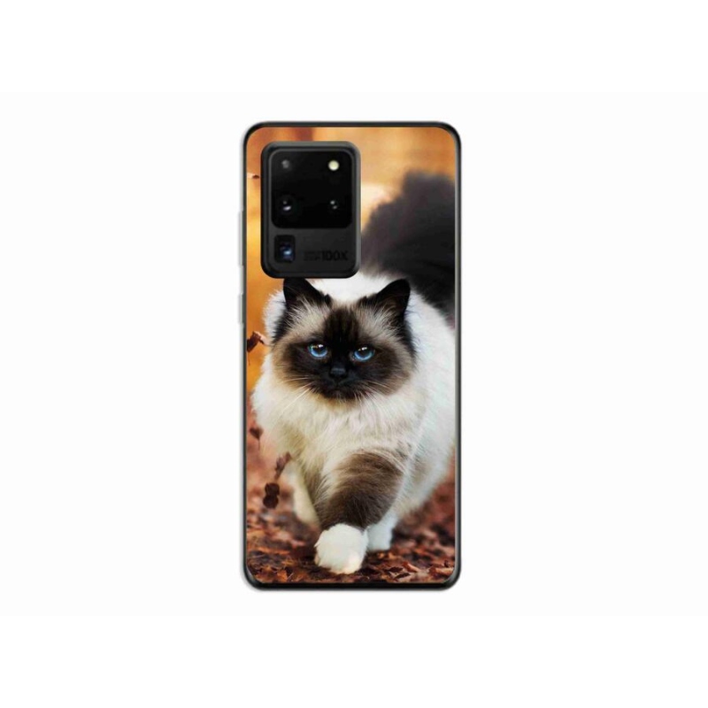 Gelový obal mmCase na mobil Samsung Galaxy S20 Ultra - kočka 1
