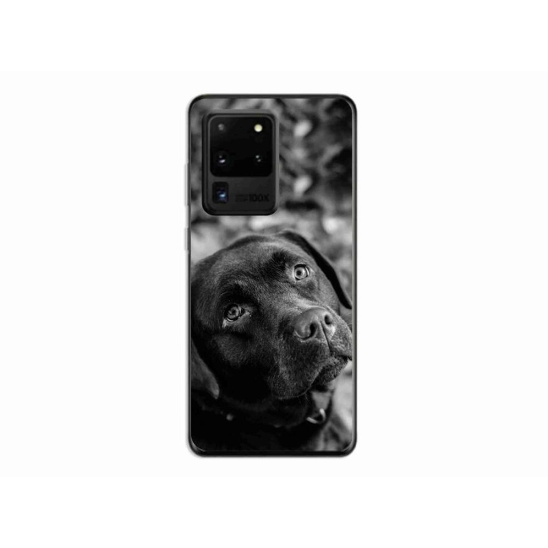 Gelový obal mmCase na mobil Samsung Galaxy S20 Ultra - labrador