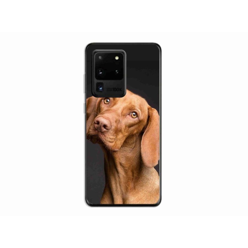 Gelový obal mmCase na mobil Samsung Galaxy S20 Ultra - maďarský ohař
