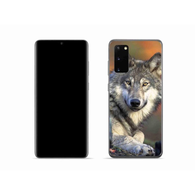 Gelový obal mmCase na mobil Samsung Galaxy S20 - vlk