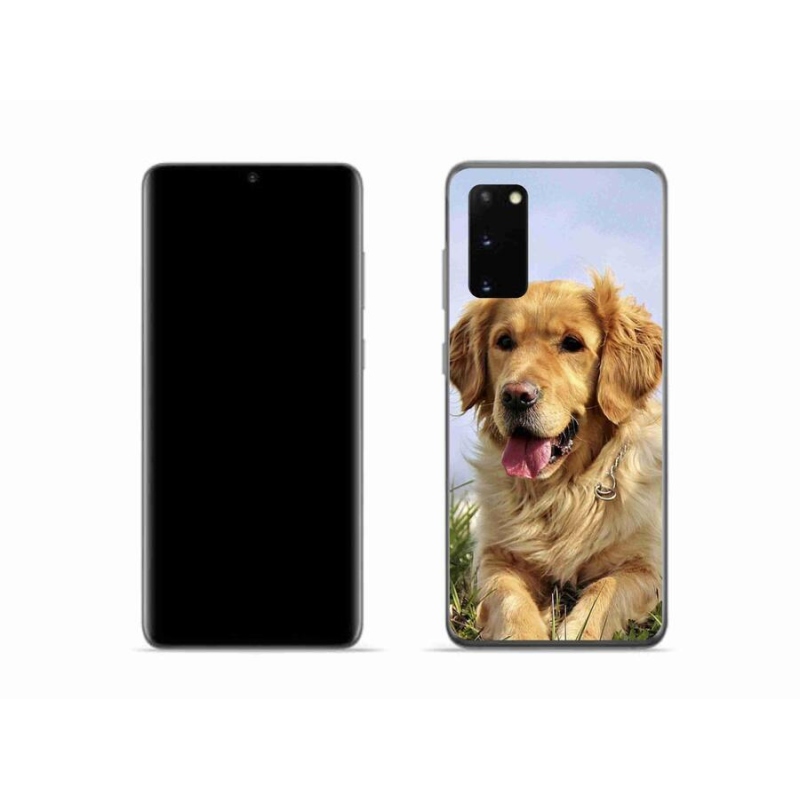 Gelový obal mmCase na mobil Samsung Galaxy S20 - zlatý retrívr
