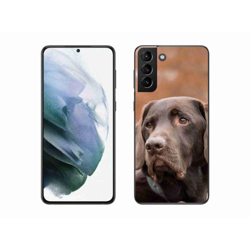 Gelový obal mmCase na mobil Samsung Galaxy S21 Plus - hnědý labrador