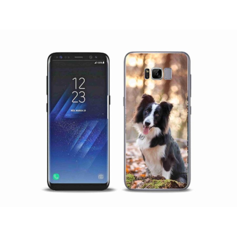 Gelový obal mmCase na mobil Samsung Galaxy S8 Plus - border kolie 1