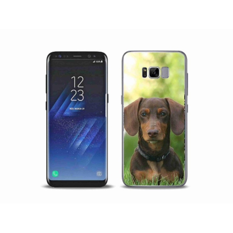 Gelový obal mmCase na mobil Samsung Galaxy S8 Plus - hnědý jezevčík