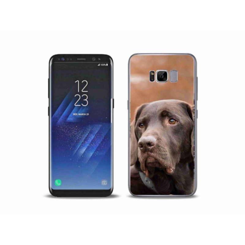 Gelový obal mmCase na mobil Samsung Galaxy S8 Plus - hnědý labrador