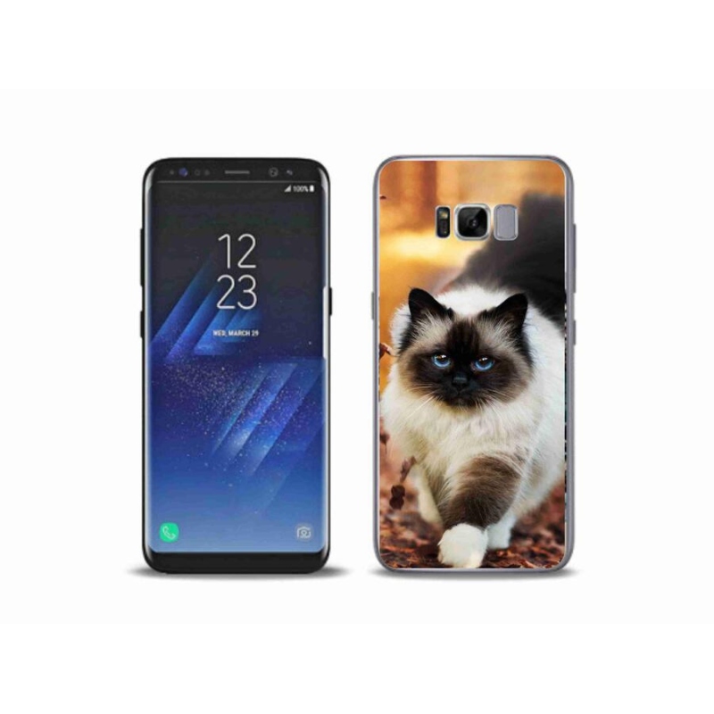 Gelový obal mmCase na mobil Samsung Galaxy S8 Plus - kočka 1