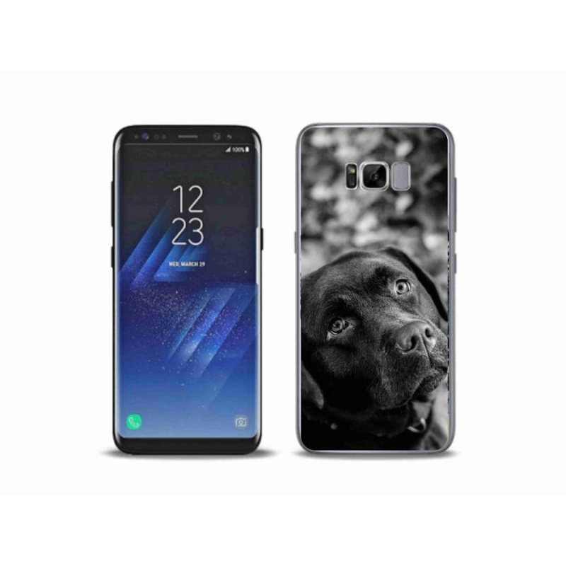 Gelový obal mmCase na mobil Samsung Galaxy S8 Plus - labrador