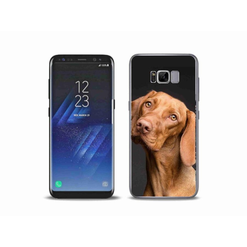 Gelový obal mmCase na mobil Samsung Galaxy S8 Plus - maďarský ohař