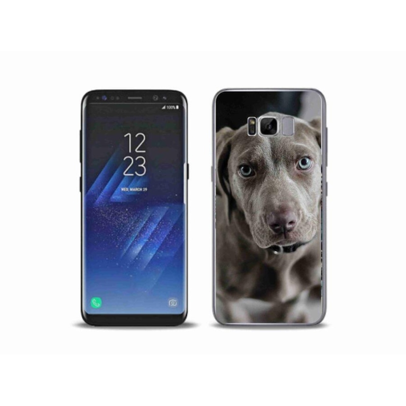 Gelový obal mmCase na mobil Samsung Galaxy S8 Plus - výmarský ohař