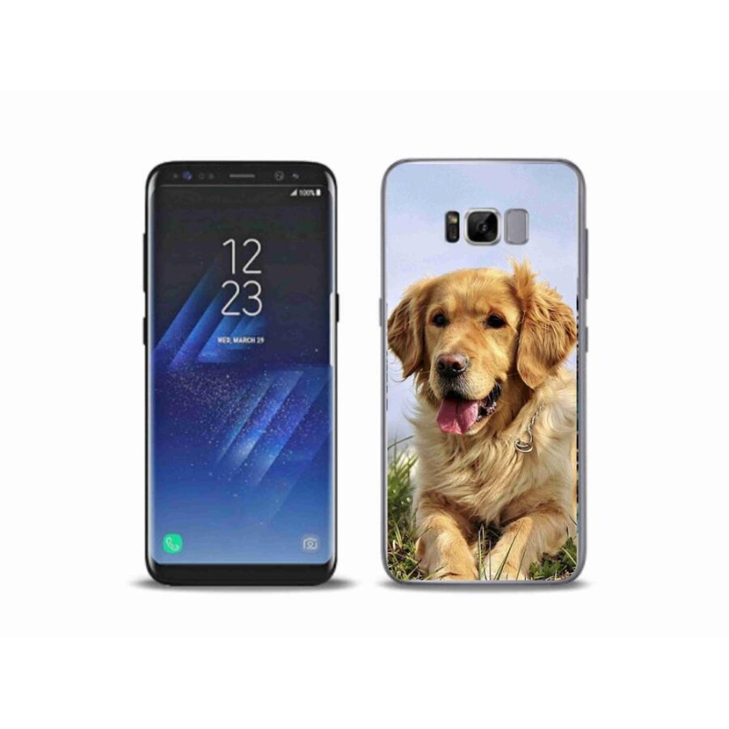 Gelový obal mmCase na mobil Samsung Galaxy S8 Plus - zlatý retrívr