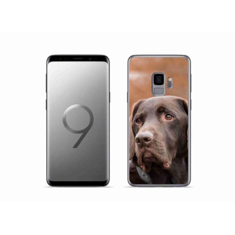 Gelový obal mmCase na mobil Samsung Galaxy S9 - hnědý labrador