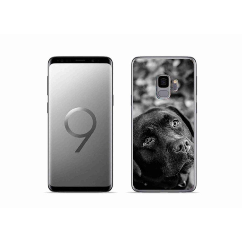Gelový obal mmCase na mobil Samsung Galaxy S9 - labrador