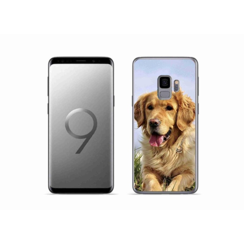 Gelový obal mmCase na mobil Samsung Galaxy S9 - zlatý retrívr