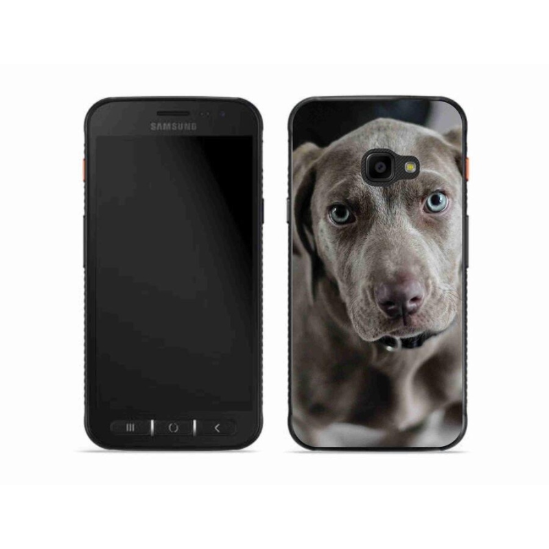 Gelový obal mmCase na mobil Samsung Galaxy Xcover 4S - výmarský ohař