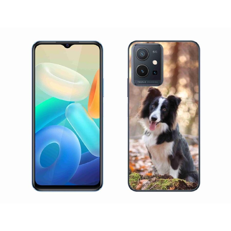 Gelový obal mmCase na mobil Vivo Y55 5G - border kolie 1