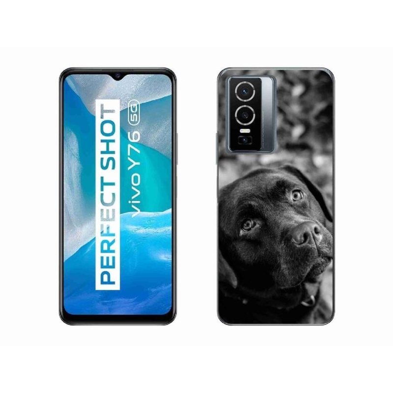 Gelový obal mmCase na mobil Vivo Y76 5G - labrador