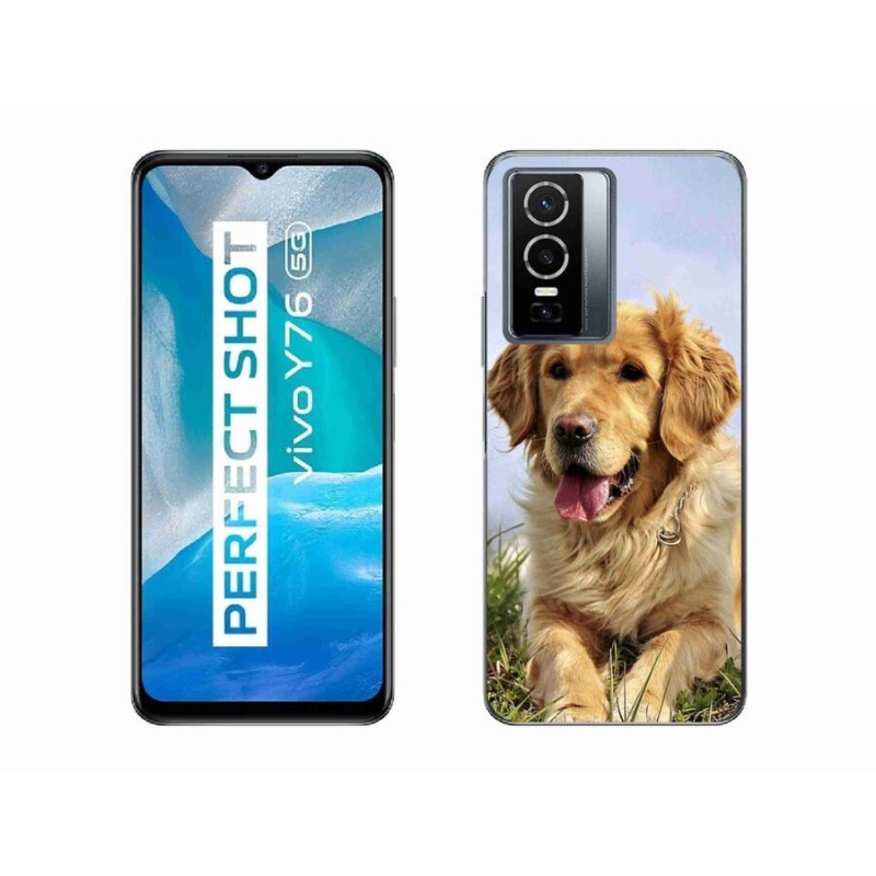 Gelový obal mmCase na mobil Vivo Y76 5G - zlatý retrívr