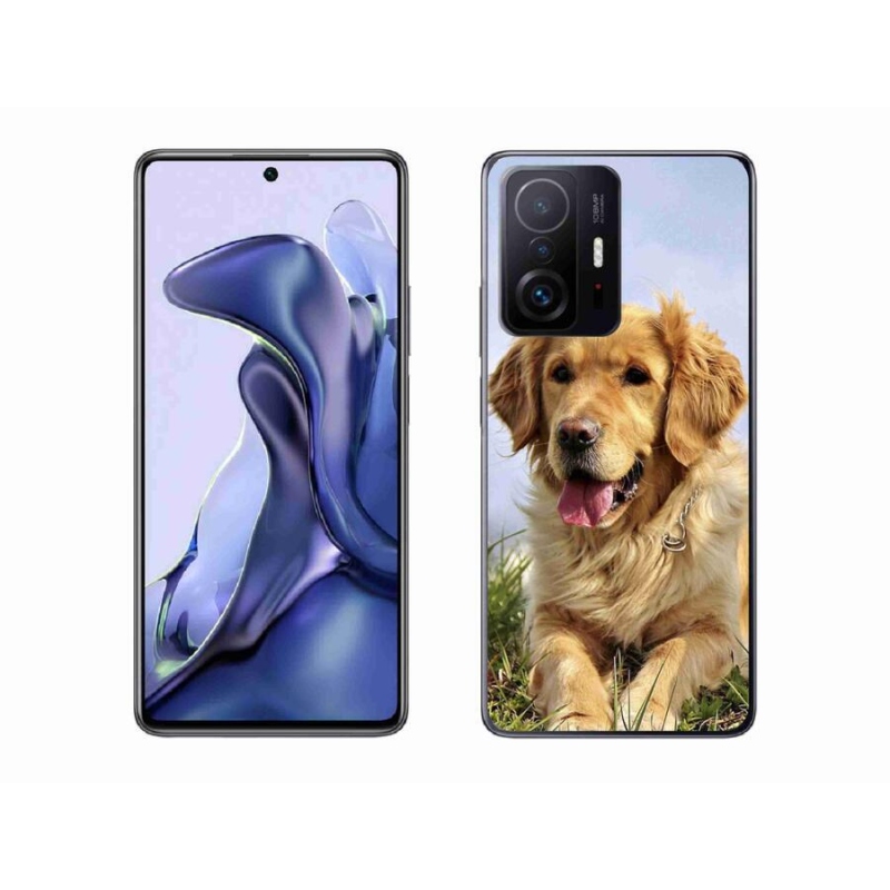 Gelový obal mmCase na mobil Xiaomi 11T Pro - zlatý retrívr