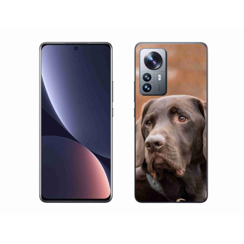 Gelový obal mmCase na mobil Xiaomi 12 Pro - hnědý labrador