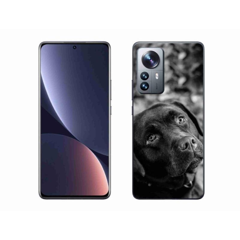 Gelový obal mmCase na mobil Xiaomi 12 Pro - labrador