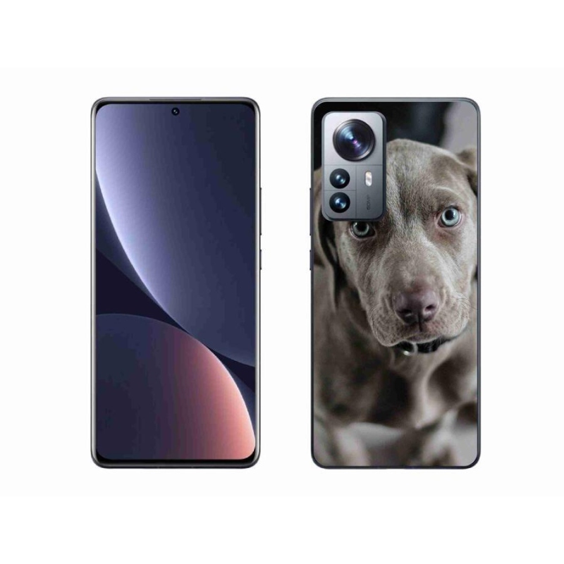Gelový obal mmCase na mobil Xiaomi 12 Pro - výmarský ohař