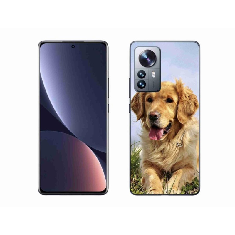 Gelový obal mmCase na mobil Xiaomi 12 Pro - zlatý retrívr