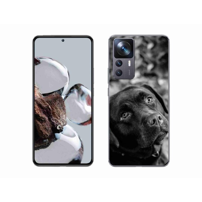 Gelový obal mmCase na mobil Xiaomi 12T - labrador