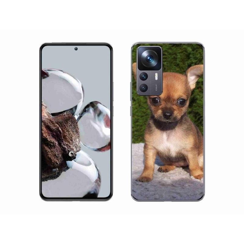 Gelový obal mmCase na mobil Xiaomi 12T Pro - čivava 3