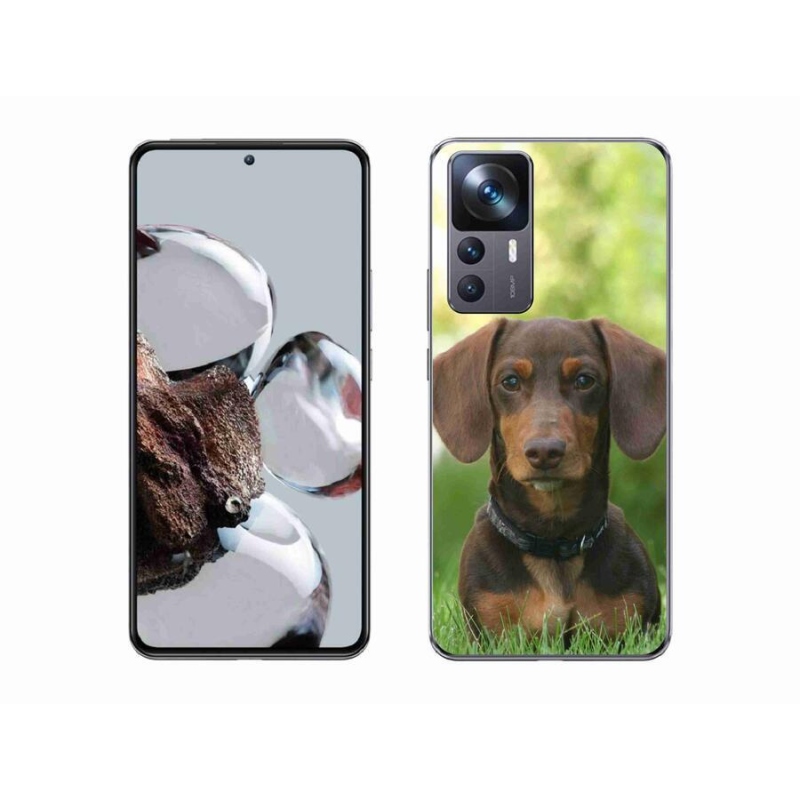 Gelový obal mmCase na mobil Xiaomi 12T Pro - hnědý jezevčík