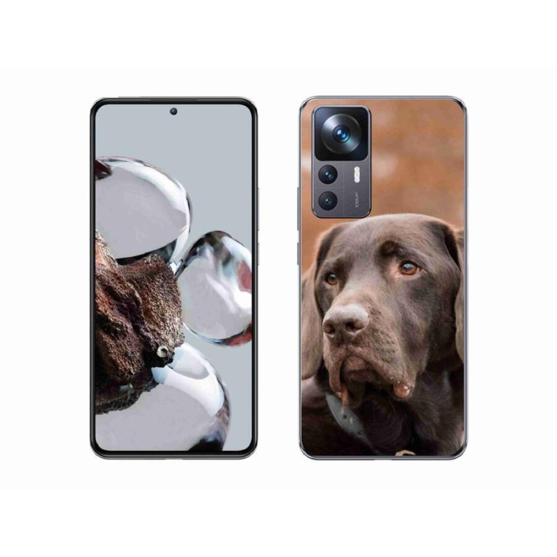 Gelový obal mmCase na mobil Xiaomi 12T Pro - hnědý labrador