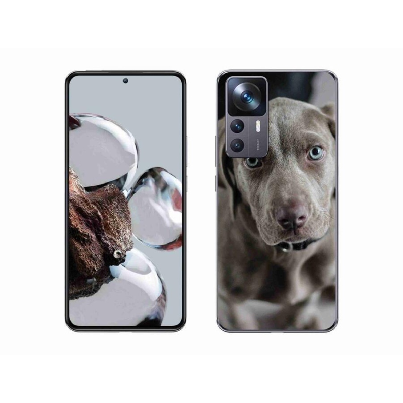 Gelový obal mmCase na mobil Xiaomi 12T Pro - výmarský ohař