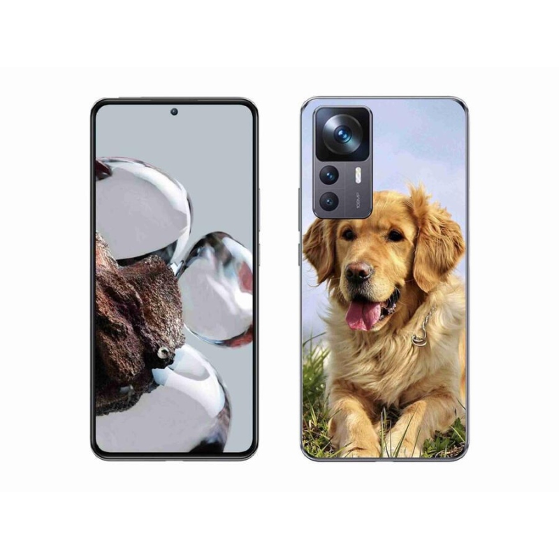 Gelový obal mmCase na mobil Xiaomi 12T - zlatý retrívr