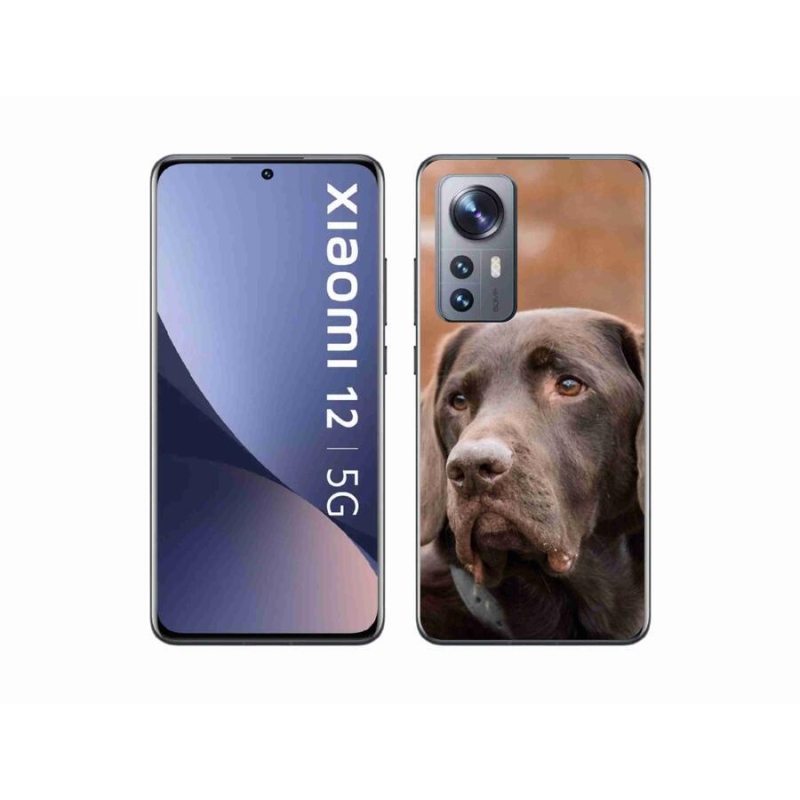 Gelový obal mmCase na mobil Xiaomi 12X - hnědý labrador