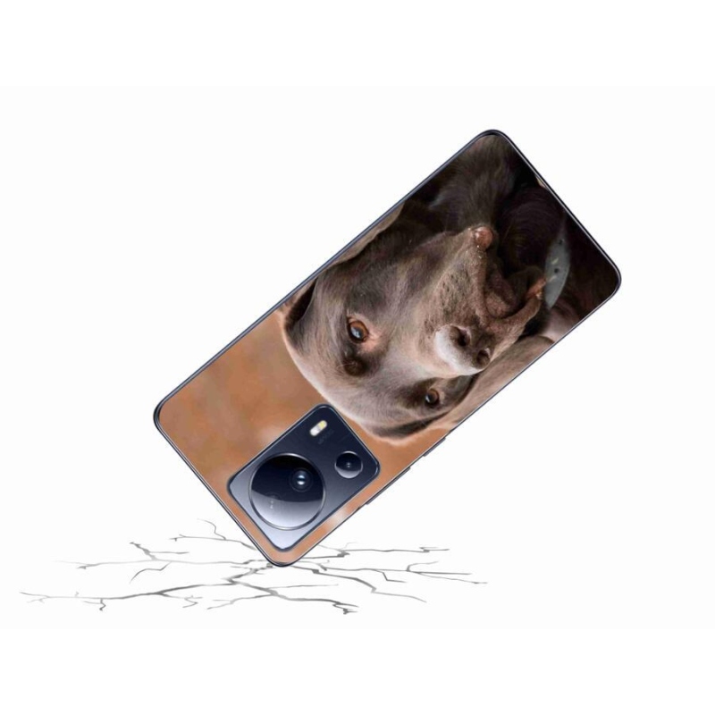 Gelový obal mmCase na mobil Xiaomi 13 Lite - hnědý labrador