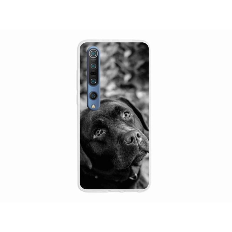 Gelový obal mmCase na mobil Xiaomi Mi 10 - labrador