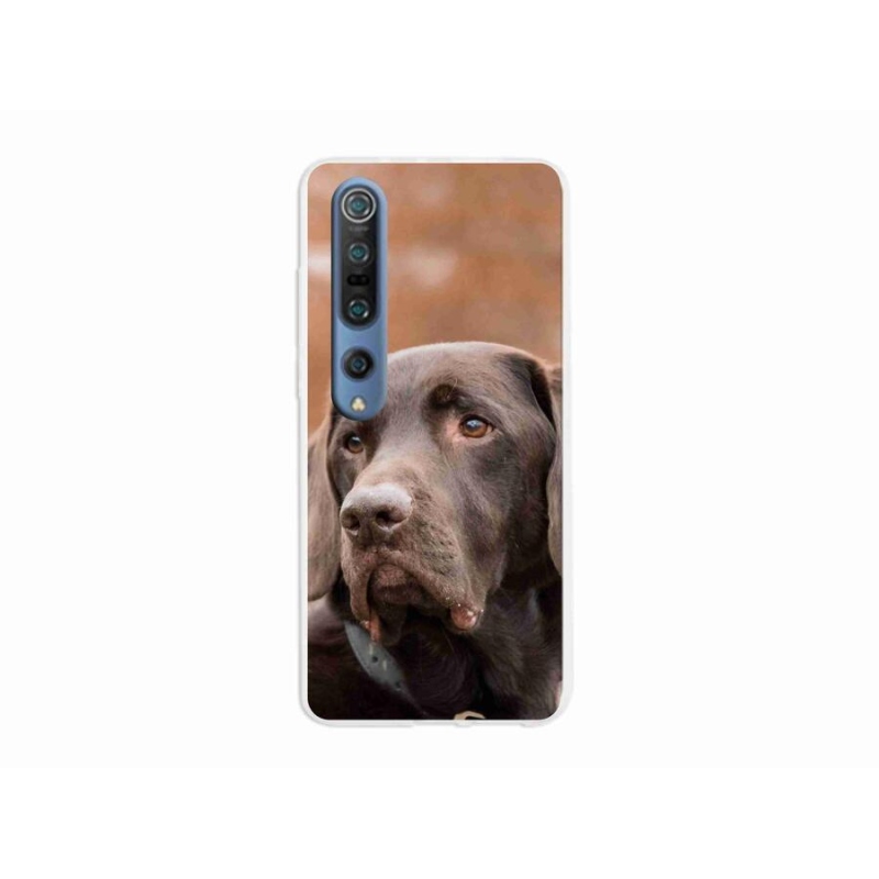 Gelový obal mmCase na mobil Xiaomi Mi 10 Pro - hnědý labrador