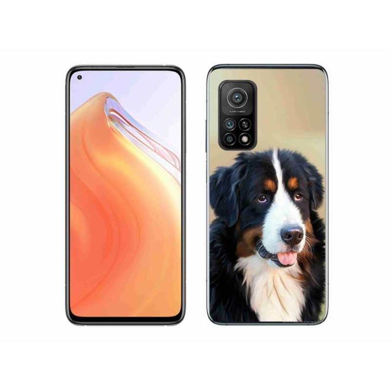 Gelový obal mmCase na mobil Xiaomi Mi 10T Pro 5G - bernský salašnický pes