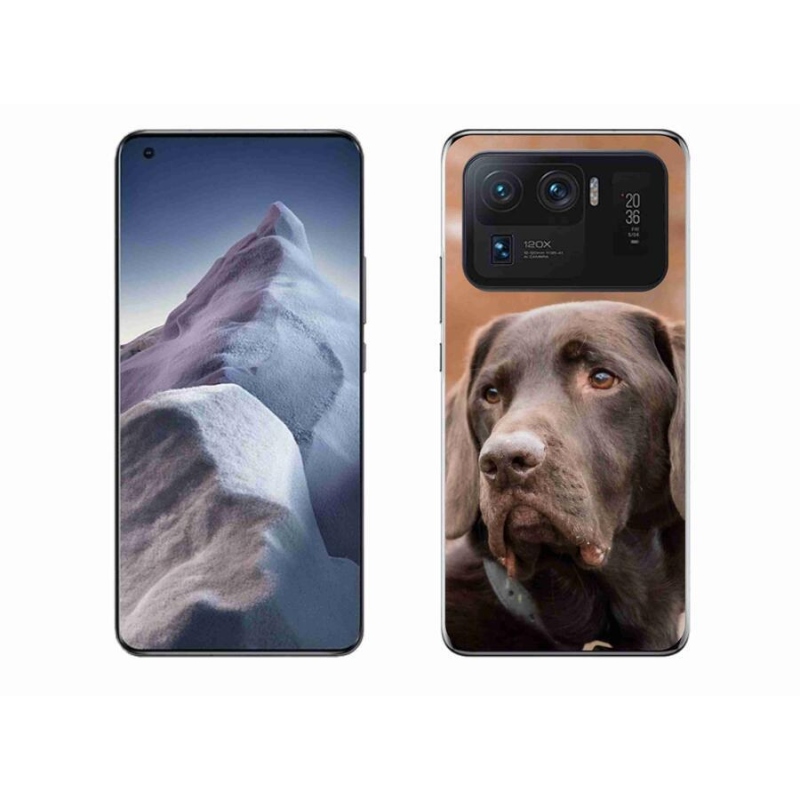 Gelový obal mmCase na mobil Xiaomi Mi 11 Ultra - hnědý labrador