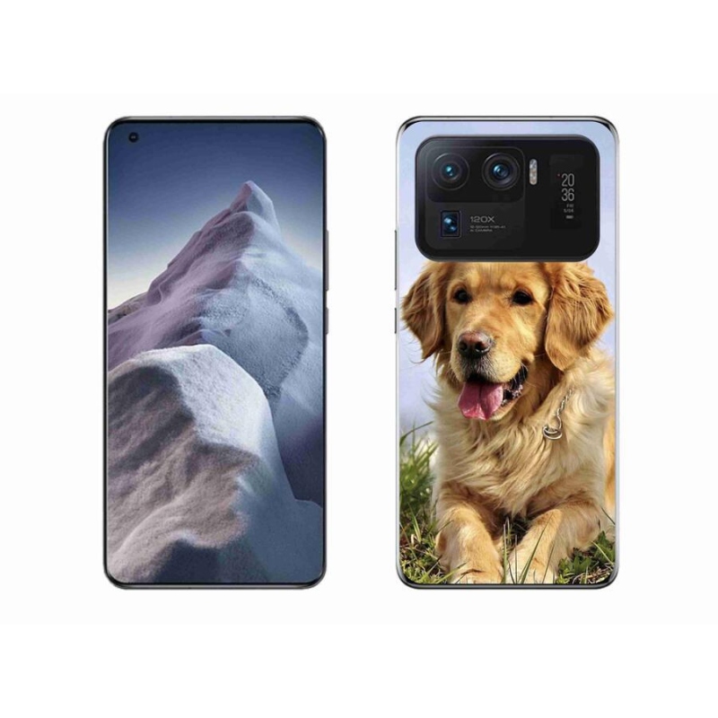 Gelový obal mmCase na mobil Xiaomi Mi 11 Ultra - zlatý retrívr