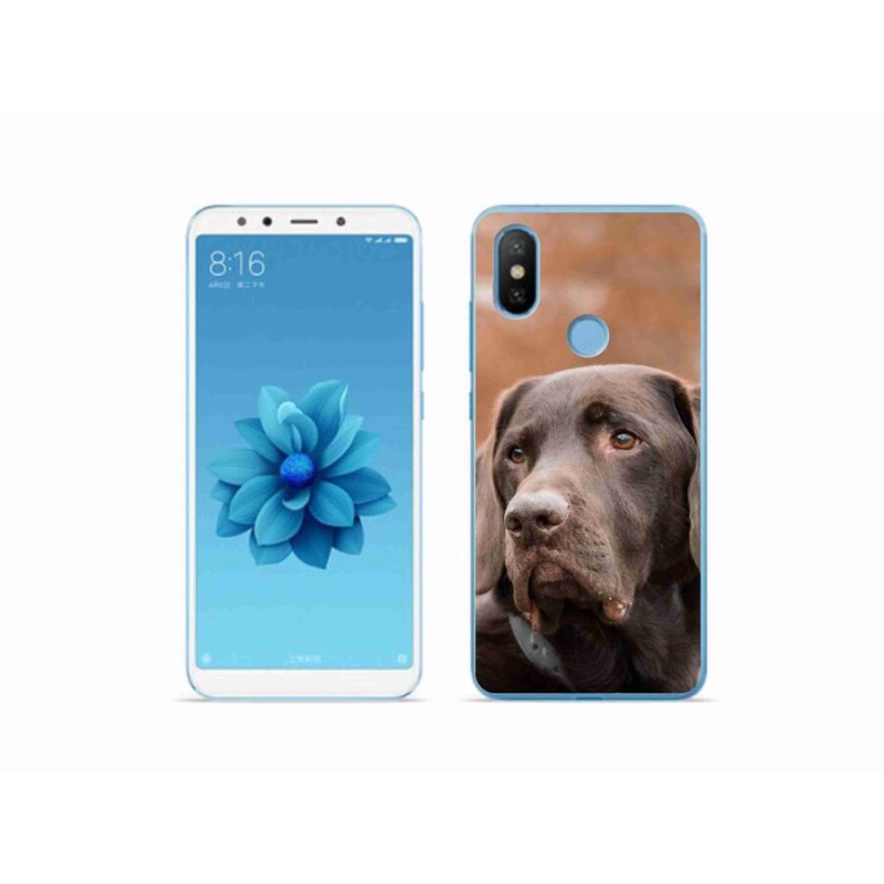 Gelový obal mmCase na mobil Xiaomi Mi A2 - hnědý labrador