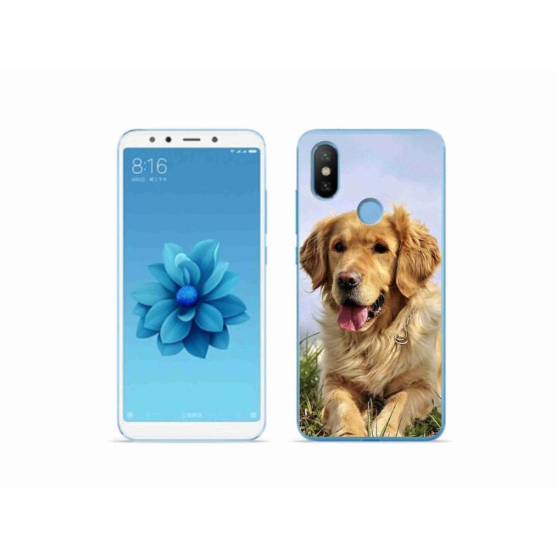 Gelový obal mmCase na mobil Xiaomi Mi A2 - zlatý retrívr