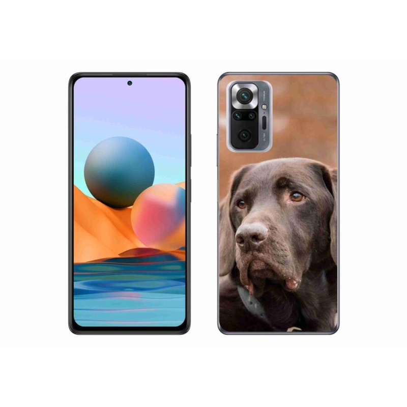 Gelový obal mmCase na mobil Xiaomi Redmi Note 10 Pro - hnědý labrador
