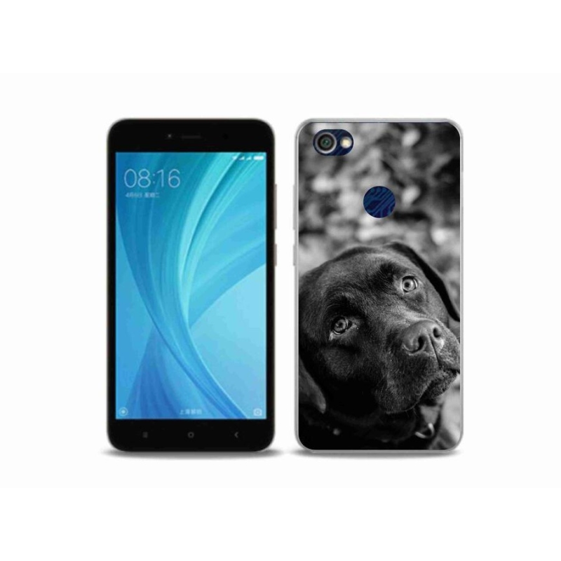 Gelový obal mmCase na mobil Xiaomi Redmi Note 5A Prime - labrador