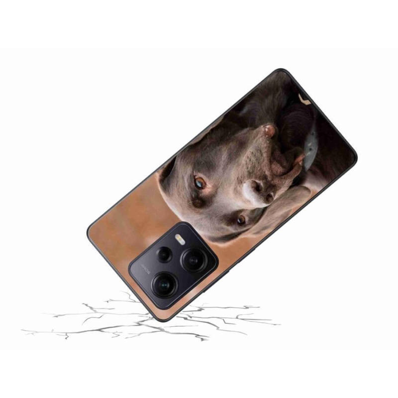 Gelový obal mmCase na Xiaomi Redmi Note 12 Pro+ 5G - hnědý labrador