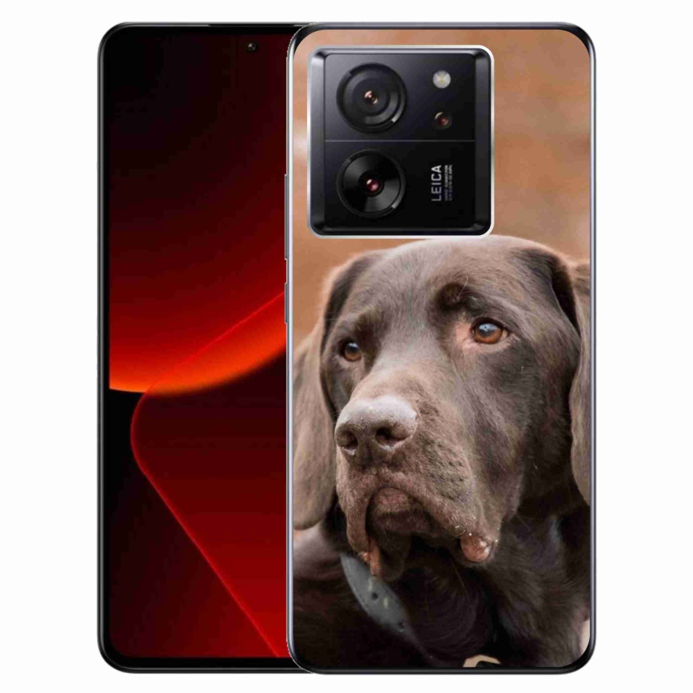 Gelový obal mmCase na Xiaomi 13T/13T Pro - hnědý labrador
