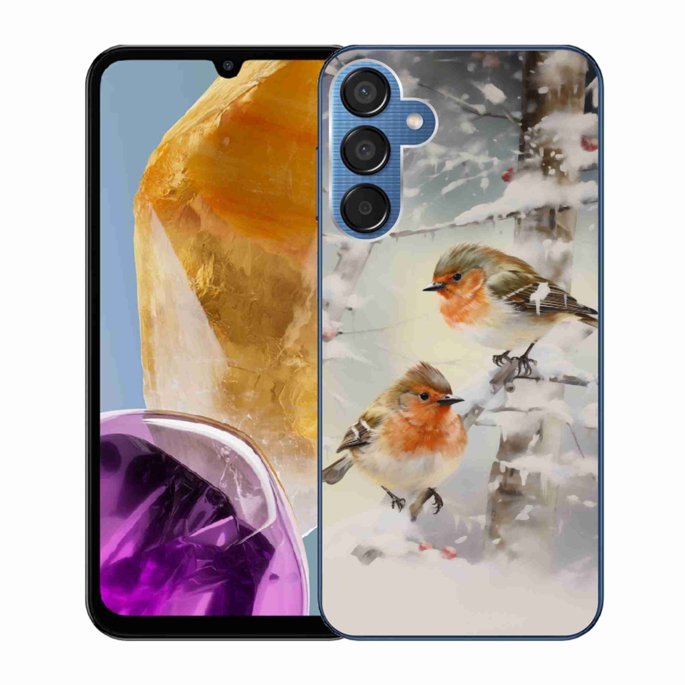 Gelový kryt mmCase na Samsung Galaxy M15 5G - ptáčci v zimě