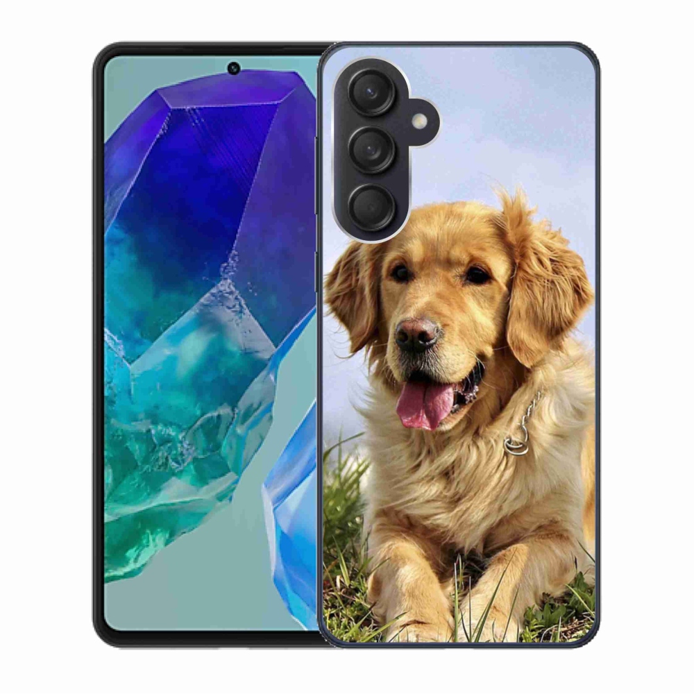 Gelový obal mmCase na Samsung Galaxy M55 5G - zlatý retrívr